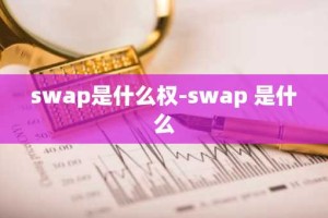swap是什么权-swap 是什么