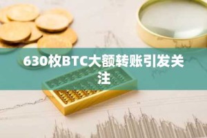 630枚BTC大额转账引发关注