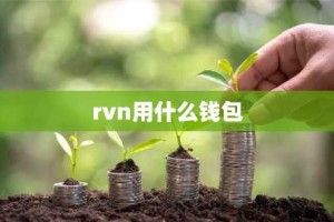 rvn用什么钱包