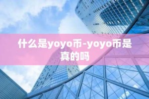什么是yoyo币-yoyo币是真的吗