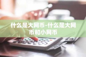 什么是大网币-什么是大网币和小网币