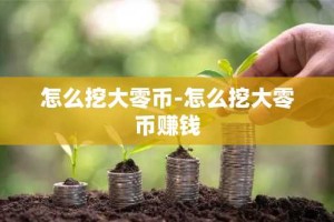 怎么挖大零币-怎么挖大零币赚钱