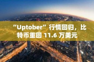 “Uptober”行情回归，比特币重回 11.6 万美元