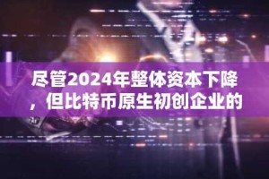 尽管2024年整体资本下降，但比特币原生初创企业的融资额仍增加