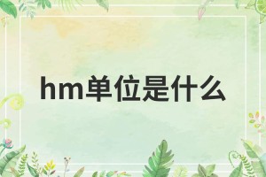 hm是什么币种