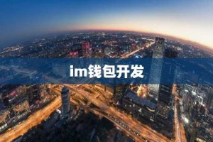 im钱包开发