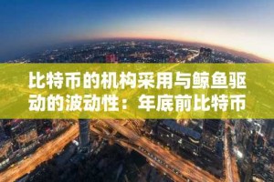 比特币的机构采用与鲸鱼驱动的波动性：年底前比特币价格将达到 14.5 万美元