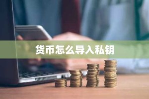 货币怎么导入私钥