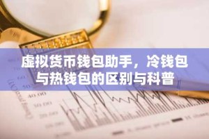 虚拟货币钱包助手，冷钱包与热钱包的区别与科普