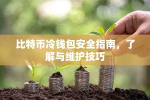 比特币冷钱包安全指南，了解与维护技巧
