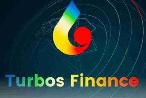 TURBOS是什么币种 TURBOS币投资价值与风险分析