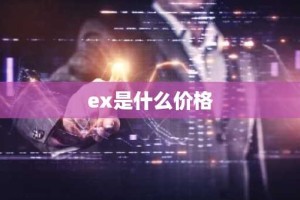 ex是什么价格