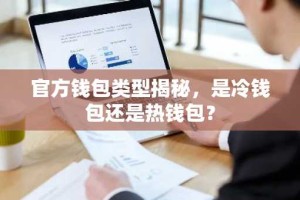 官方钱包类型揭秘，是冷钱包还是热钱包？