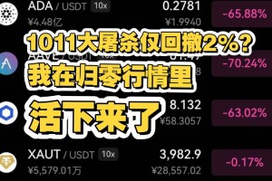 山寨币长期没行情
