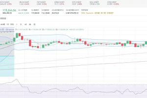 多个山寨终于新高，Crypto后续是新高还是回调？