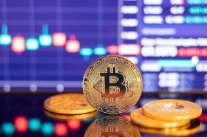 柚子币总共发行多少币