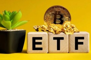 比特币单月暴涨40% 持有逾100万没有BTC地址数暴增3倍
