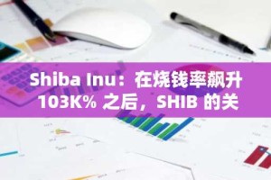 Shiba Inu：在烧钱率飙升 103K% 之后，SHIB 的关键水平如下