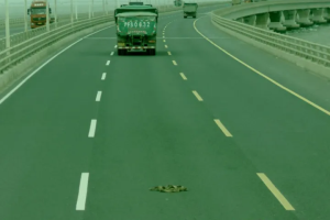 Exciting！GPT-4V在自动驾驶中初探