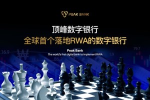 比特币爆仓的钱去了哪里