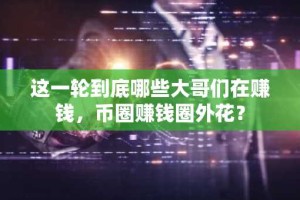 这一轮到底哪些大哥们在赚钱，币圈赚钱圈外花？