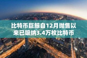 比特币巨鲸自12月抛售以来已吸纳3.4万枚比特币