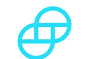 Gemini无法登录要怎么办？为什么无法登录gemini怎么弄