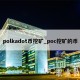 polkadot币挖矿_poc挖矿的币