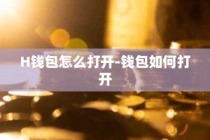 H钱包怎么打开-钱包如何打开