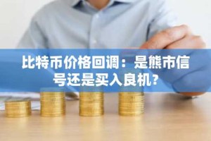 比特币价格回调：是熊市信号还是买入良机？