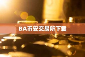 BA币安交易所下载