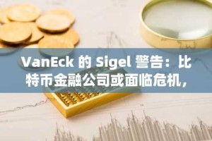 VanEck 的 Sigel 警告：比特币金融公司或面临危机，Semler Scientific 涉险区域引关注