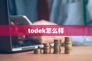 todek怎么样