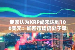 专家认为XRP尚未达到100美元：加密市场仍处于早期阶段