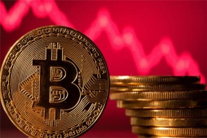 shib币最新消息12月，Shib币12月价格走势分析