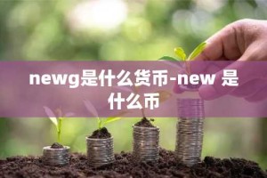 newg是什么货币-new 是什么币