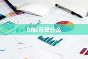 DNs币是什么