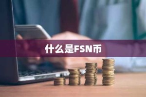什么是FSN币