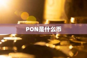 PON是什么币