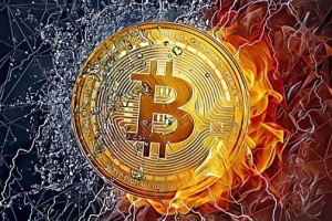 比特币涨美元跌的原因有哪些