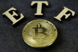 北交所的资金从哪里来