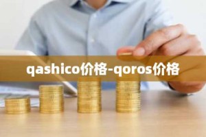 qashico价格-qoros价格
