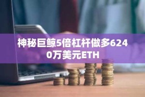 神秘巨鲸5倍杠杆做多6240万美元ETH