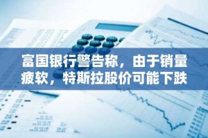 富国银行警告称，由于销量疲软，特斯拉股价可能下跌 60%