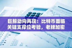 巨鲸动向再现：比特币面临关键支撑位考验，老牌加密货币价格剧烈波动