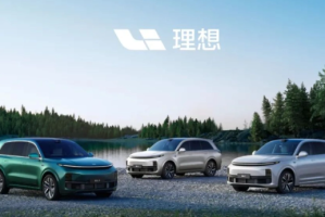 庆祝一周年，理想汽车L系列推出超级保险优惠！