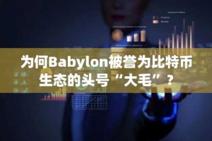 为何Babylon被誉为比特币生态的头号“大毛”？