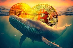 比特币市场巨鲸大户进场抄底迹象明显 Glassnode数据揭示买盘强劲