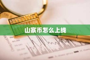 山寨币怎么上线
