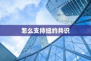 怎么支持纽约共识